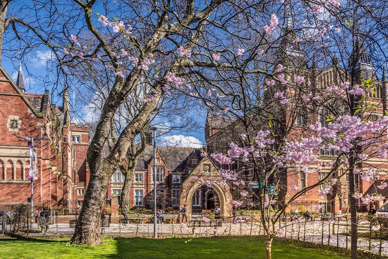 Đại học Leeds - Top 10 viện giáo dục bậc cao danh tiếng nhất Anh Quốc