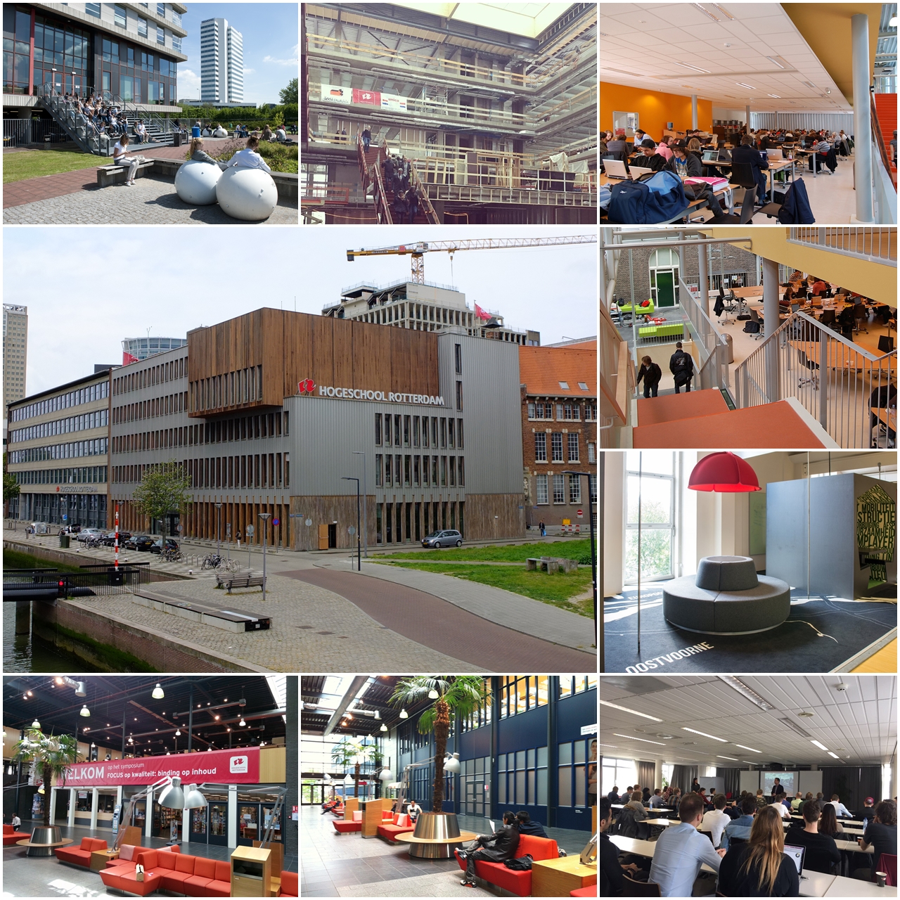 Trường Kinh doanh Rotterdam