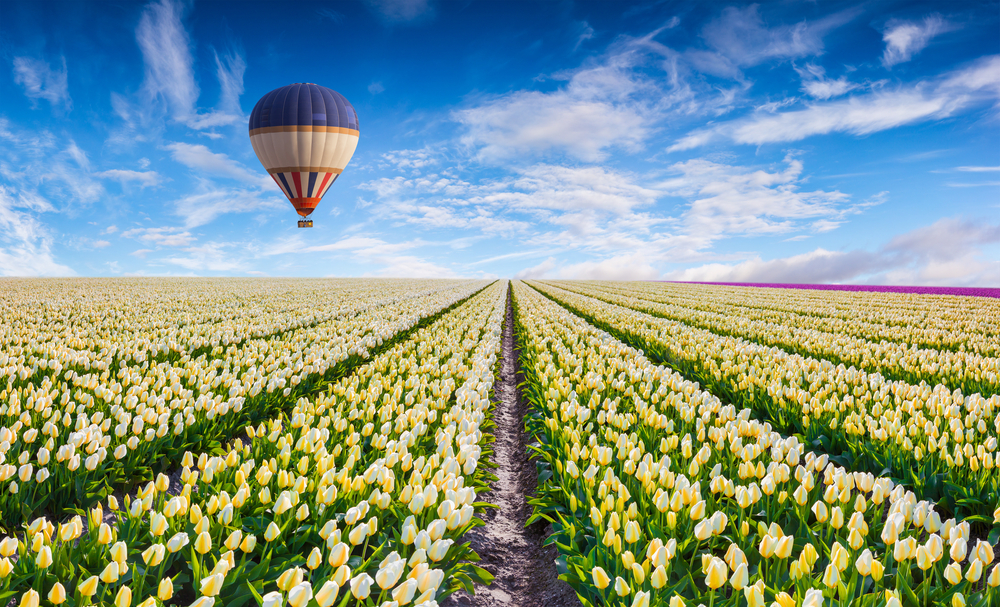 Xứ sở tulip là bến cảng tri thức nổi tiếng của Châu Âu