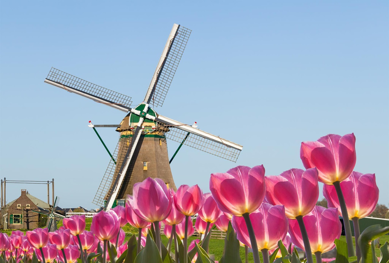 Đất nước Hà Lan xinh đẹp