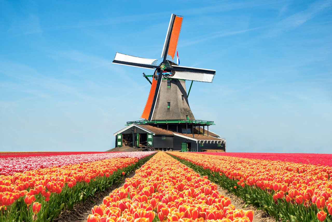 Từ nhiều thế kỷ trước, người Hà Lan đã biết sử dụng năng lượng gió phục vụ sản xuất