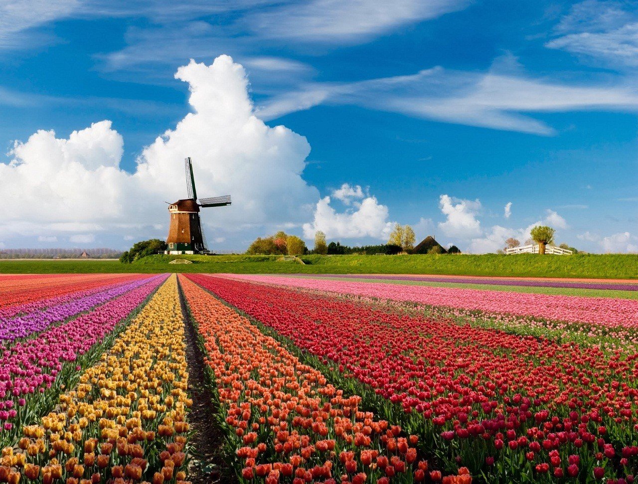 Đất nước Hà Lan