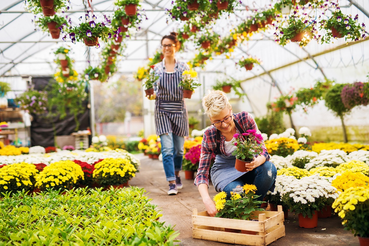 Xứ sở ngàn hoa Hà Lan là nơi thích hợp để bạn theo học ngành làm vườn