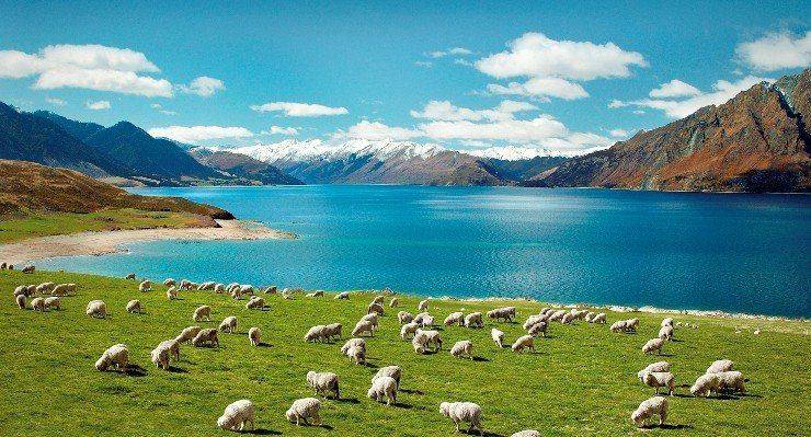 New Zealand – đất nước sạch, đẹp bậc nhất thế giới