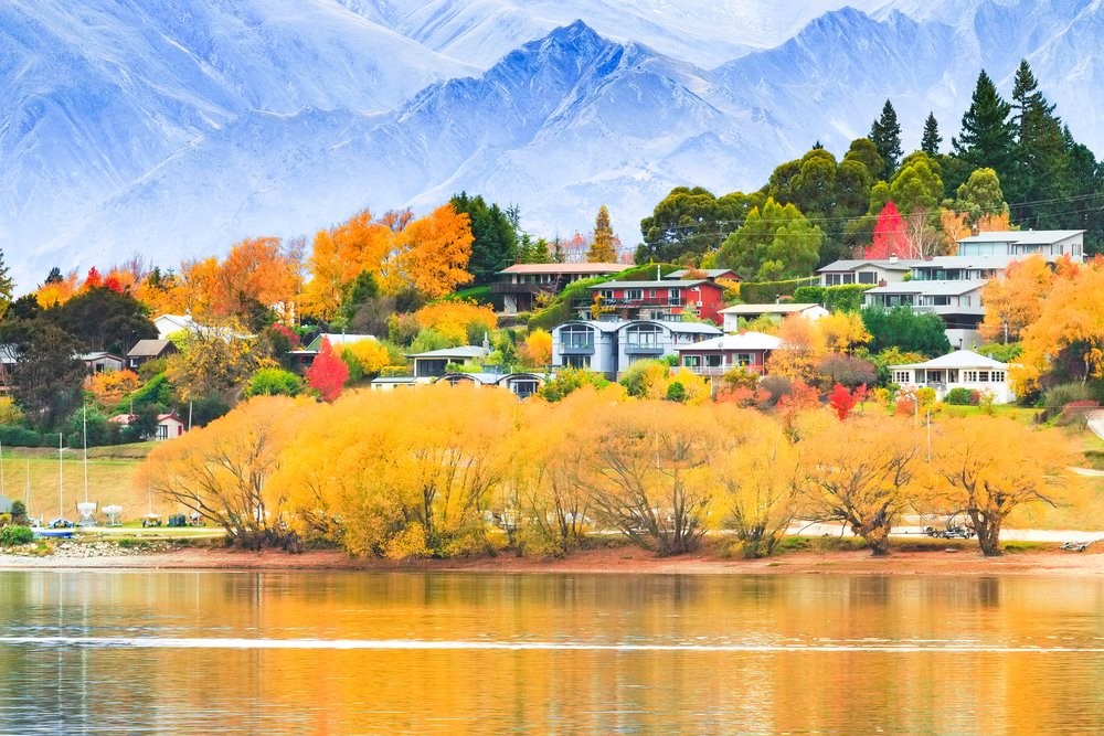 Chứng minh tài chính du học New Zealand là yếu tố bắt buộc khi xin visa