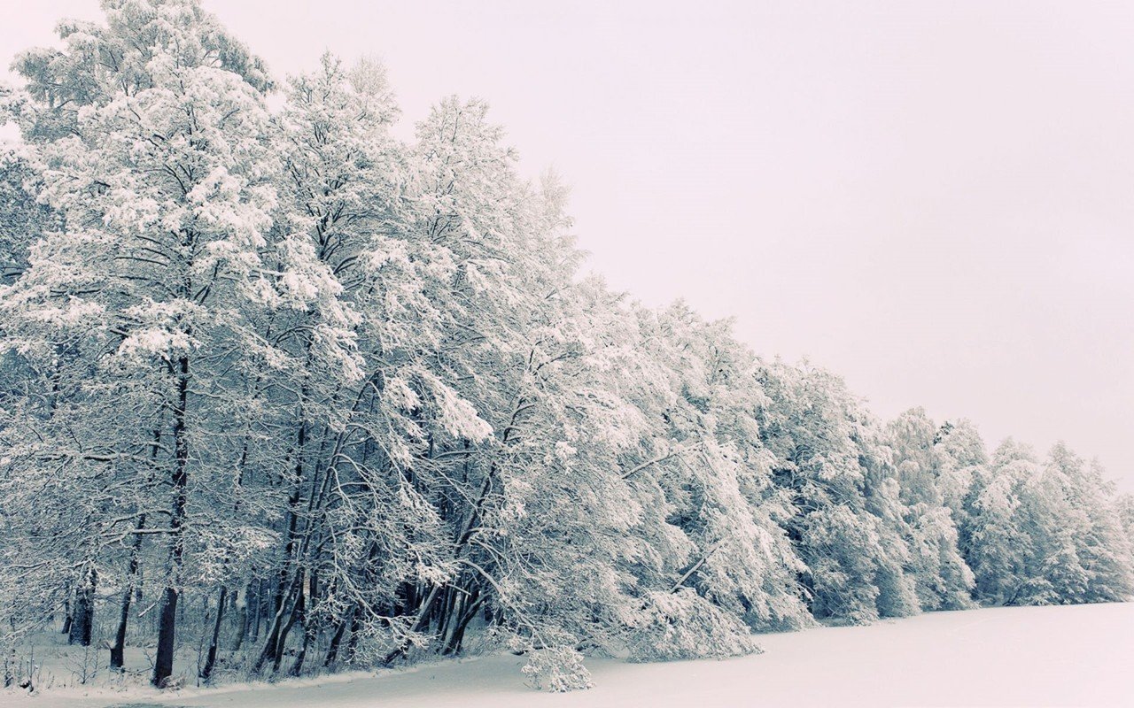 Mùa đông tại Phần Lan