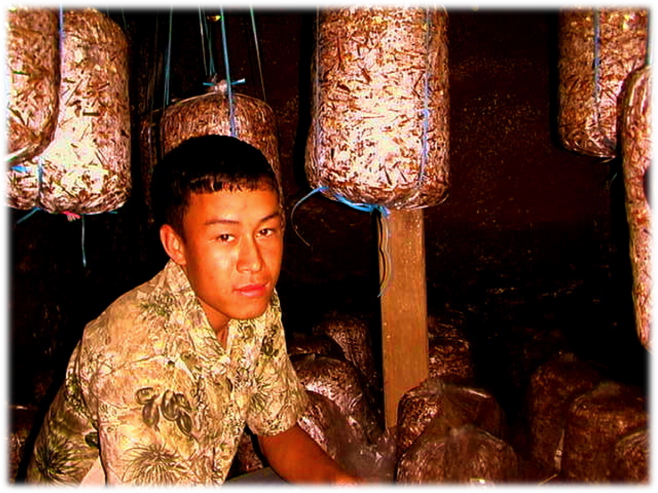 Harkaman Tamang – người thắng cuộc dự án Gazzab 2010. Hiện tại, anh đã có trang trại nấm thứ 3 của riêng mình. Với thu nhập này, anh có tiền để các em mình tới trường cũng như bản thân mình vào đại học.