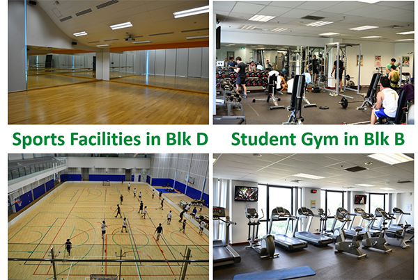  Sân thi đấu thể thao, phòng tập gym miễn phí cho sinh viên