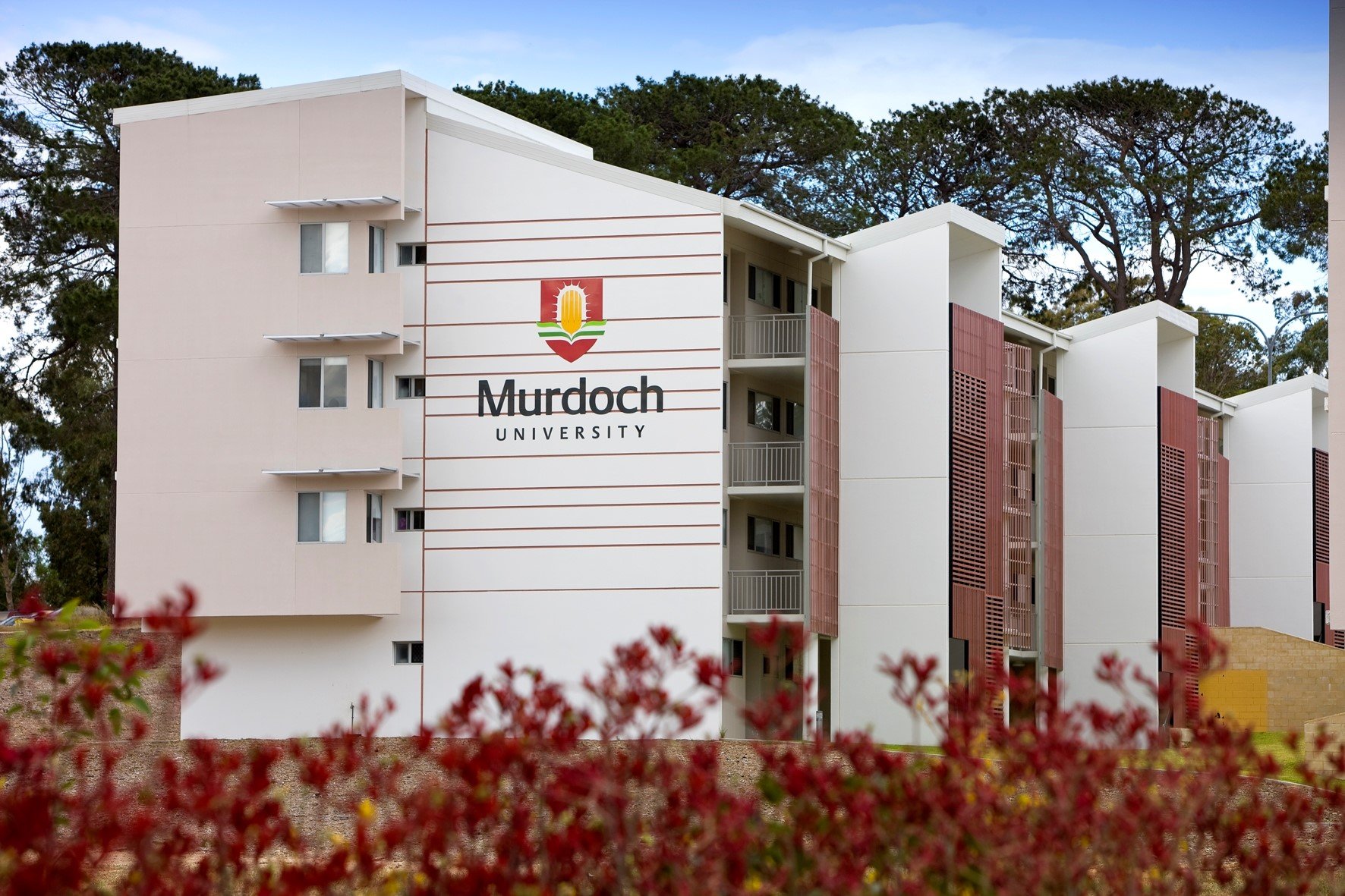 Trường Đại học Murdoch