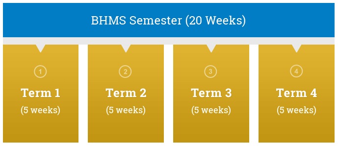 Chương trình đào tạo của BHMS
