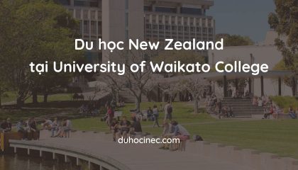 lộ trình chuyển tiếp Đại học Waikato
