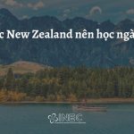 Du học New Zealand nên học ngành gì
