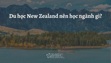 Du học New Zealand nên học ngành gì