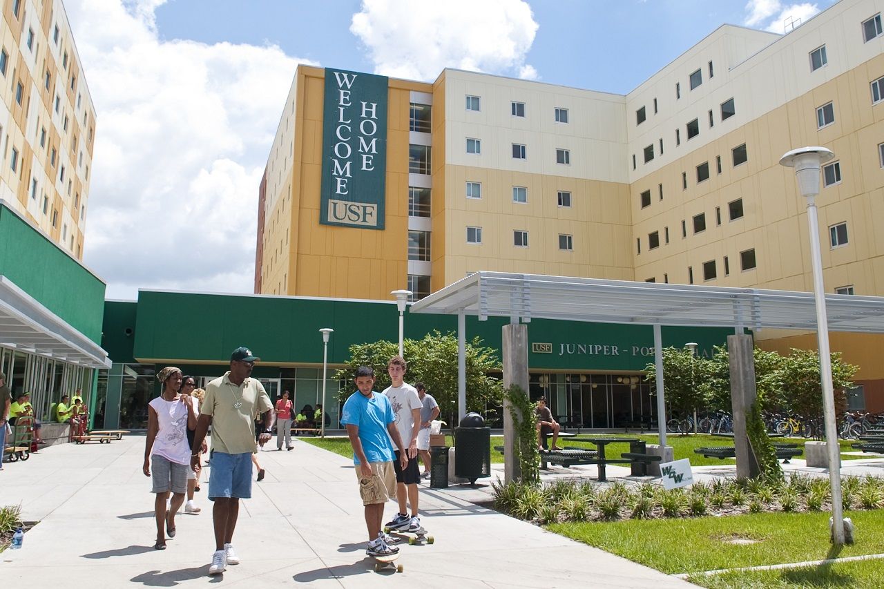 Sinh viên tự do học tập và phát triển bản thân tại Đại học South Florida 