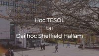 Học TESOL Đại học Sheffield Hallam