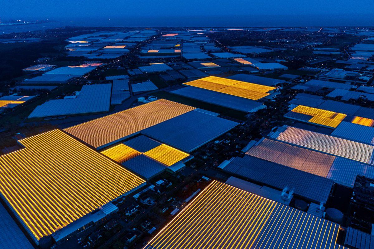 Những khu phức hợp nhà kính cho sản xuất nông nghiệp tại Hà Lan