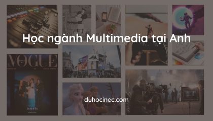 Học ngành Multimedia tại Anh
