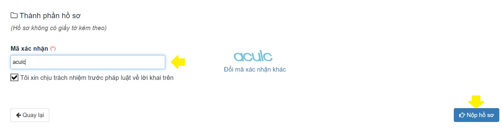 Cách làm hộ chiếu online