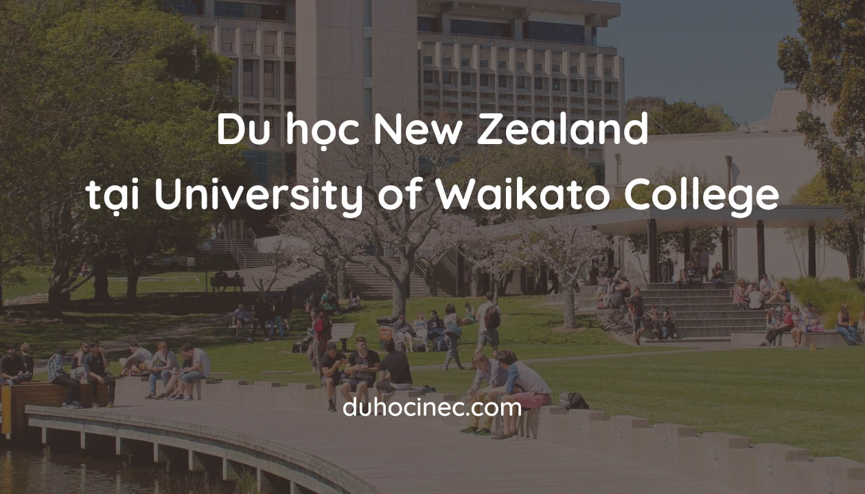 lộ trình chuyển tiếp Đại học Waikato