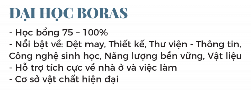 Du học Thuỵ Điển Đại học Boras 2