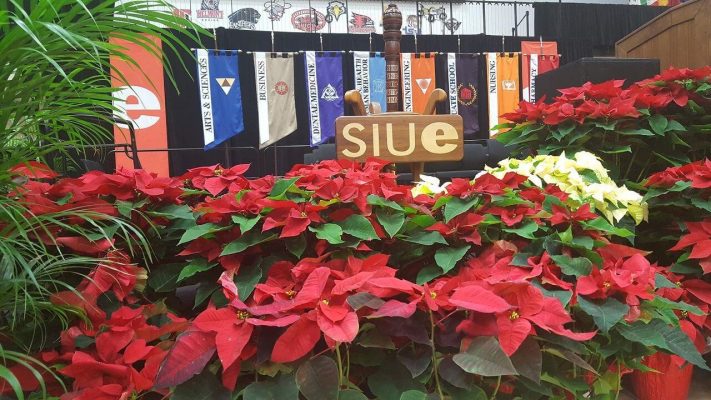 du học đại học southern illinois edwardsville mỹ