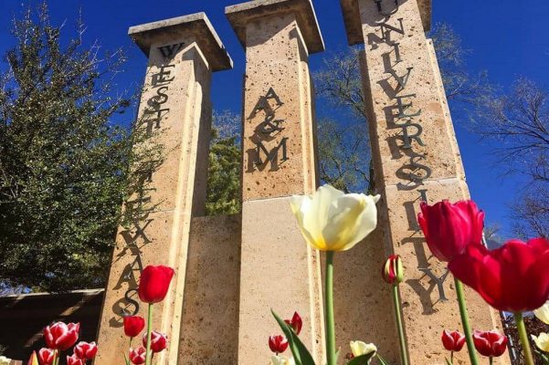 du học đại học west texas a&m mỹ