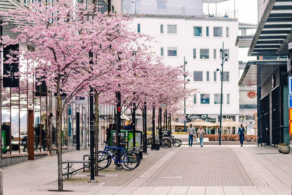 Thành phố Jonkoping (Thụy Điển)