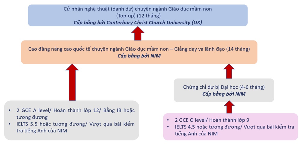 Cử nhân Giáo dục mầm non - Viện Quản lý Nanyang (NIM)
