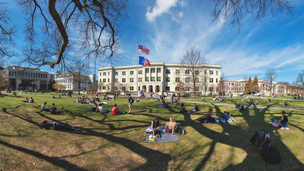 American University, New York