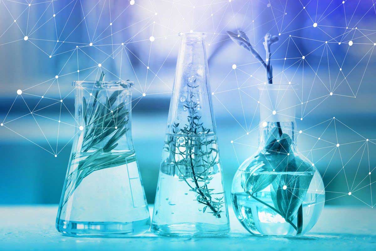 Du học Úc ngành công nghệ sinh học (biotechnology) tại Đại học Deakin