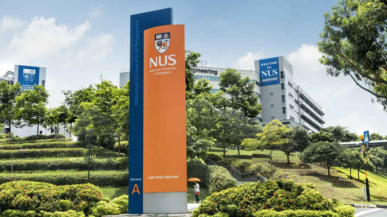 Chương trình Cử nhân Đại học Quốc gia Singapore