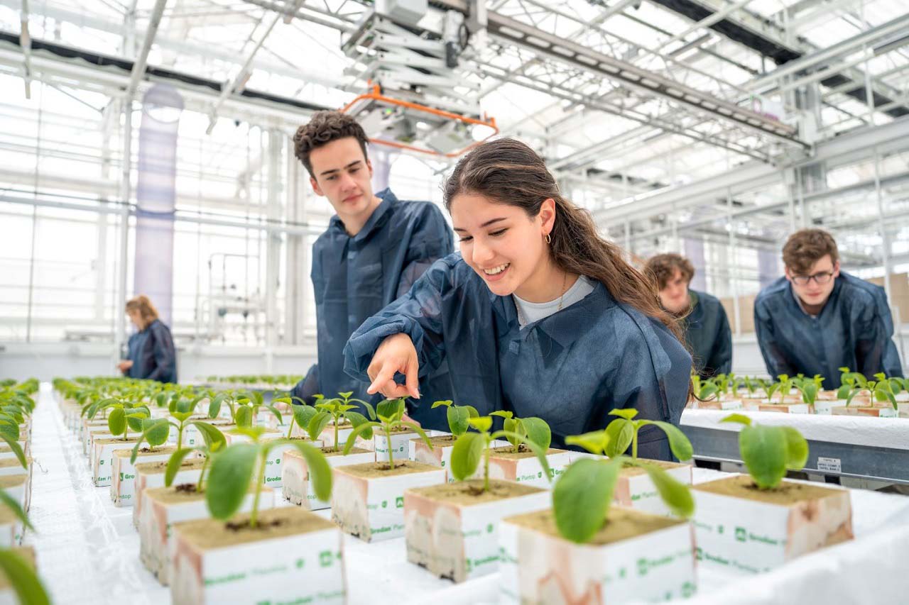 Cơ hội nghề nghiệp sau tốt nghiệp Wageningen