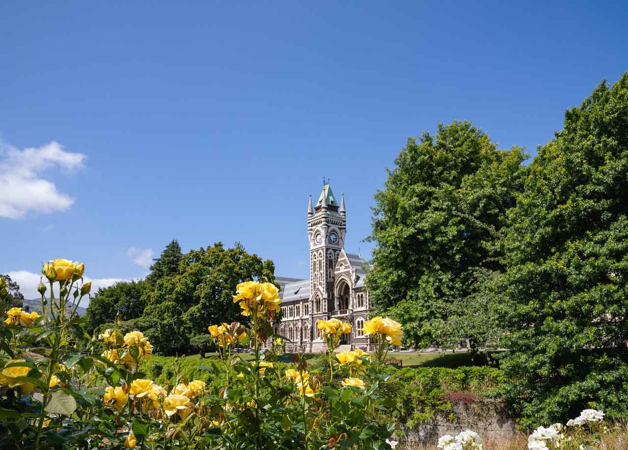 Học bổng du học New Zealand toàn phần