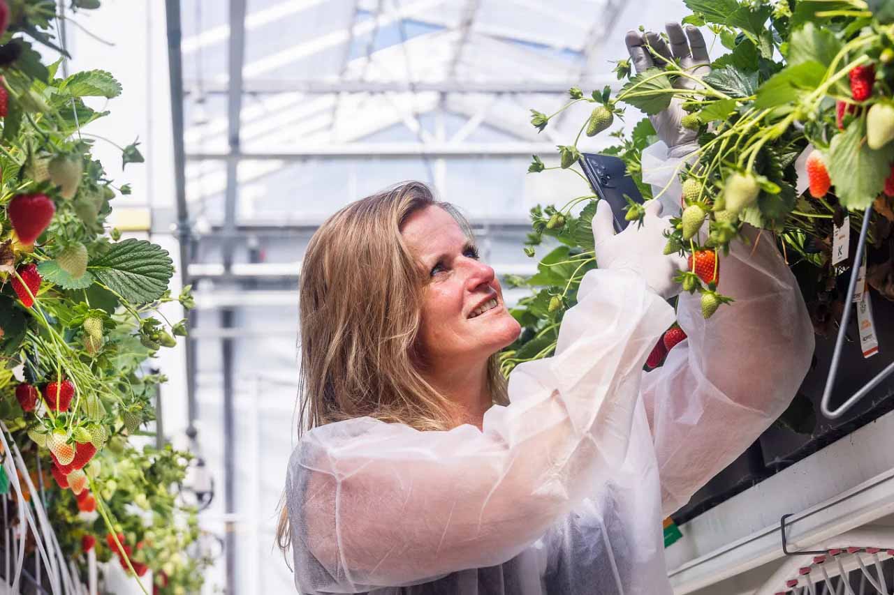 Có nên du học Hà Lan ngành nông nghiệp