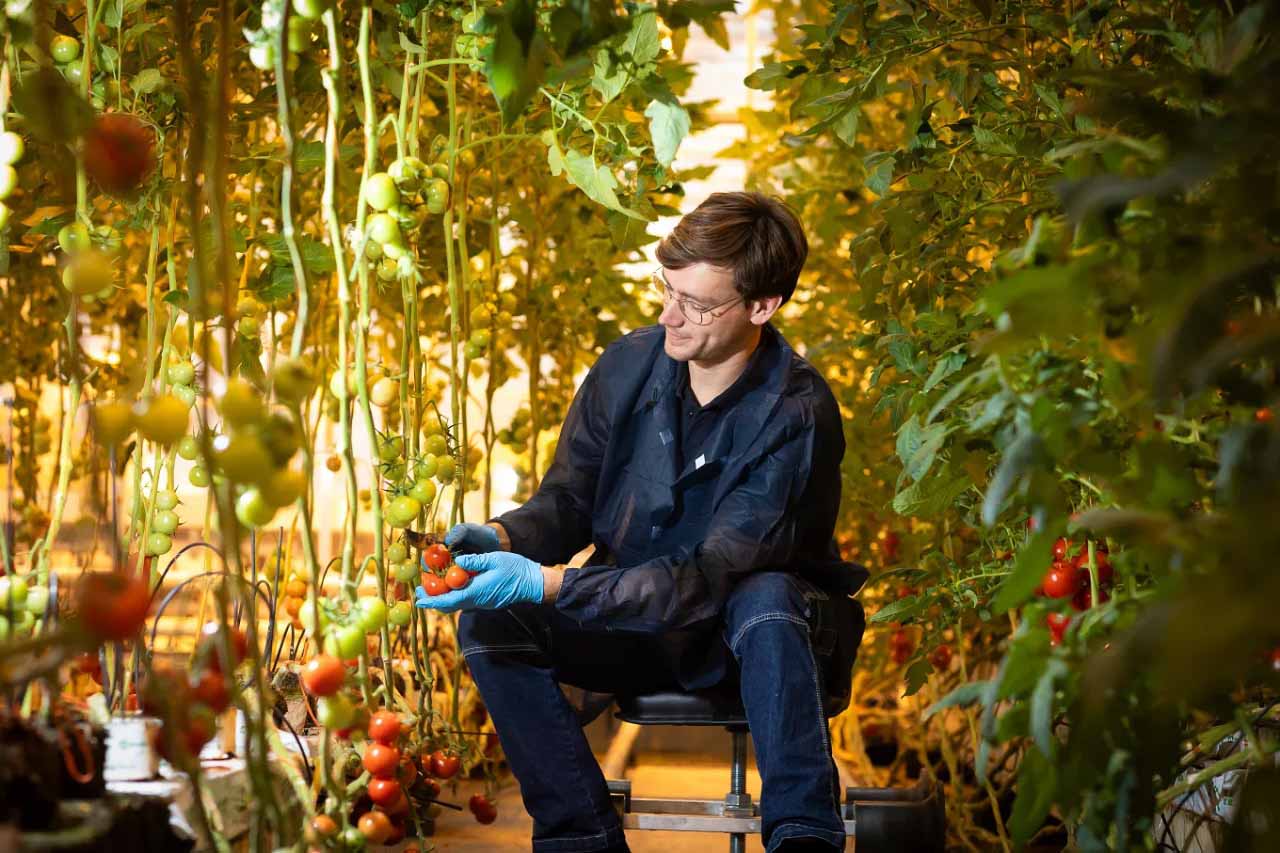 Vì sao Hà Lan trở thành cường quốc nông nghiệp của thế giới