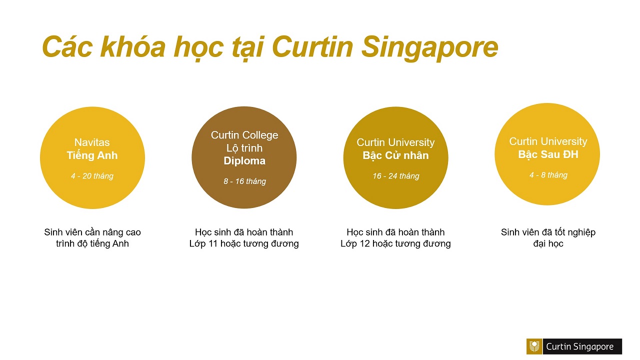 Chương trình đào tạo tại Đại học Curtin Singapore