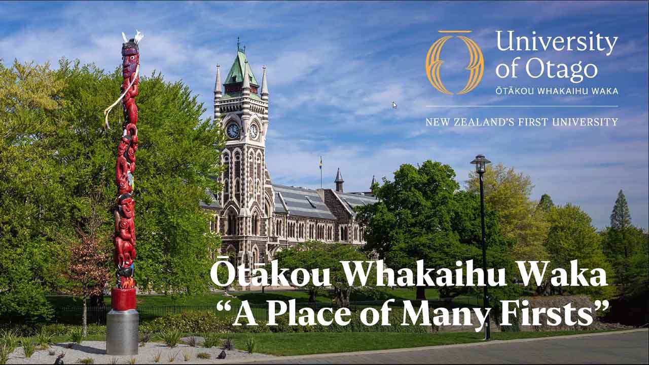 Học bổng du học New Zealand bậc đại học