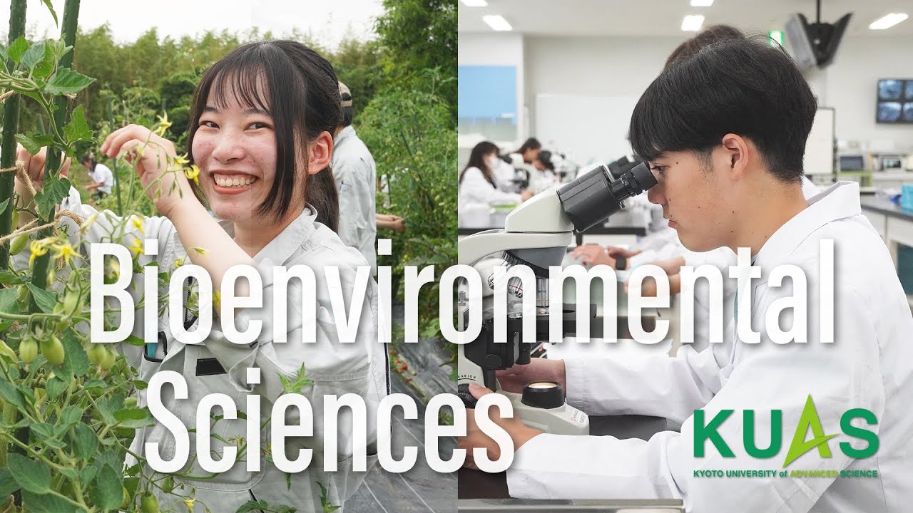 Học Bioenvironmental Sciences tại Đại học Khoa học Tiên tiến Kyoto