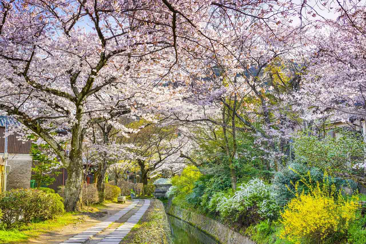Philosopher's Path Kyoto